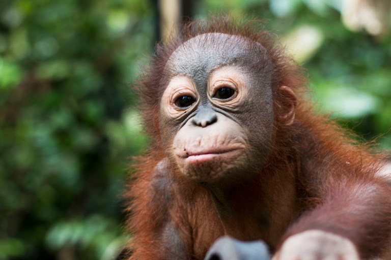 Didik-at-baby-school